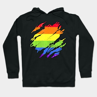 Lgbtq Gay Pride Month Rainbow Flag Queer Lgbt Hoodie